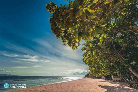 ZAMBOANGA CITY TOURIST SPOTS: The Pink .